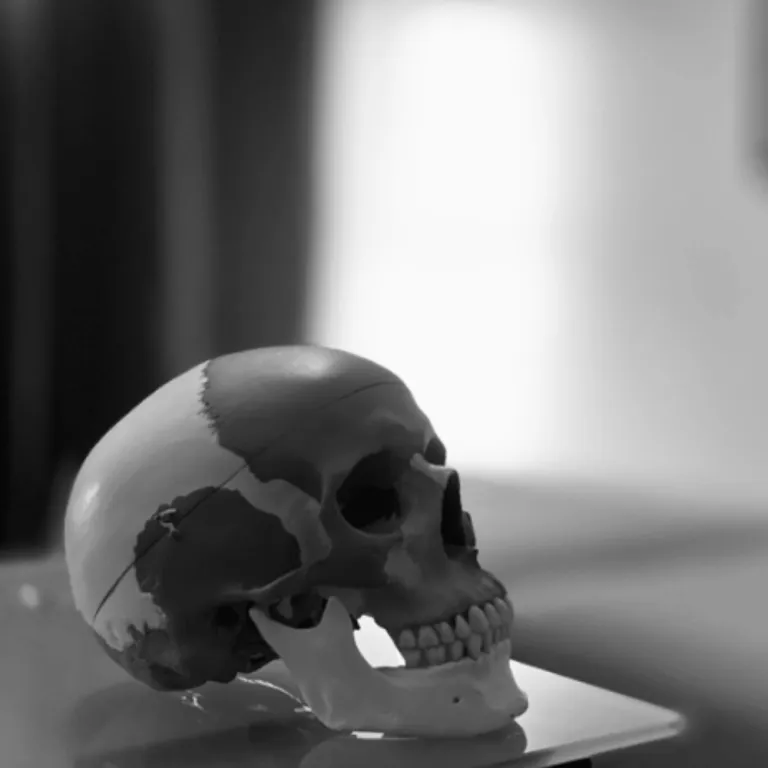 Neurophysiologie appliquée – système nerveux